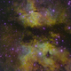 Illustration for article titled Nebulas And Neighboring Galaxies, Photographed From A Garden Shed